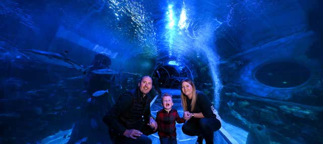 Biglietti per SEA LIFE® Birmingham