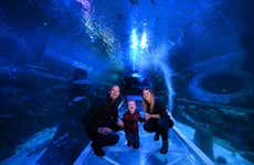 SEA LIFE® Birmingham Tickets