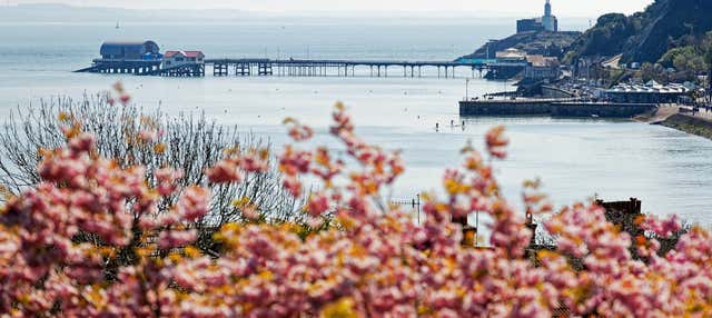 Tour por la península de Gower, Mumbles y Swansea