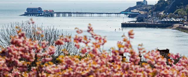 Tour por la península de Gower, Mumbles y Swansea