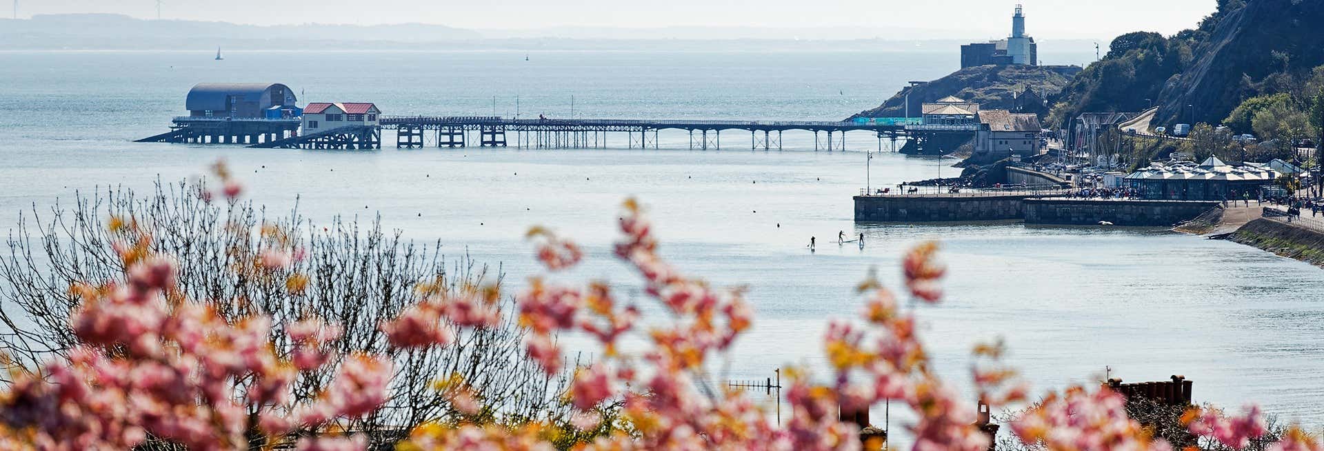 Tour por la península de Gower, Mumbles y Swansea