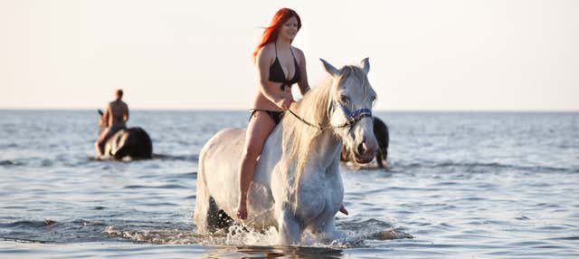 Passeggiata a cavallo sulla spiaggia di Local Village