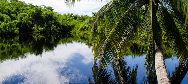 Escursione a East End