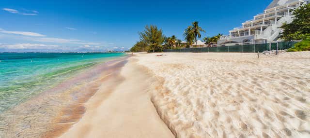 Escursione a West Bay