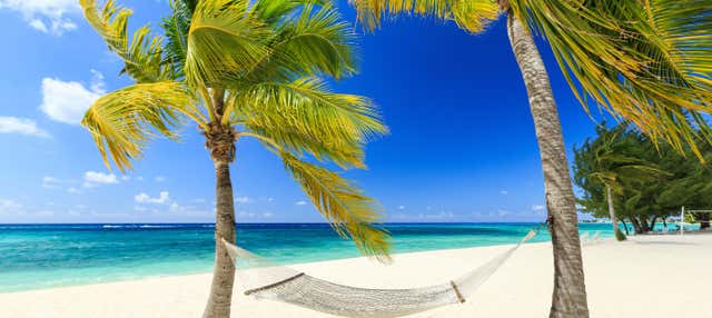 Tour panoramico di Grand Cayman