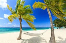 Grand Cayman Tour