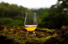 Glasgow Whisky Tour