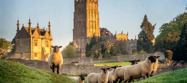 Escursione alle Cotswolds