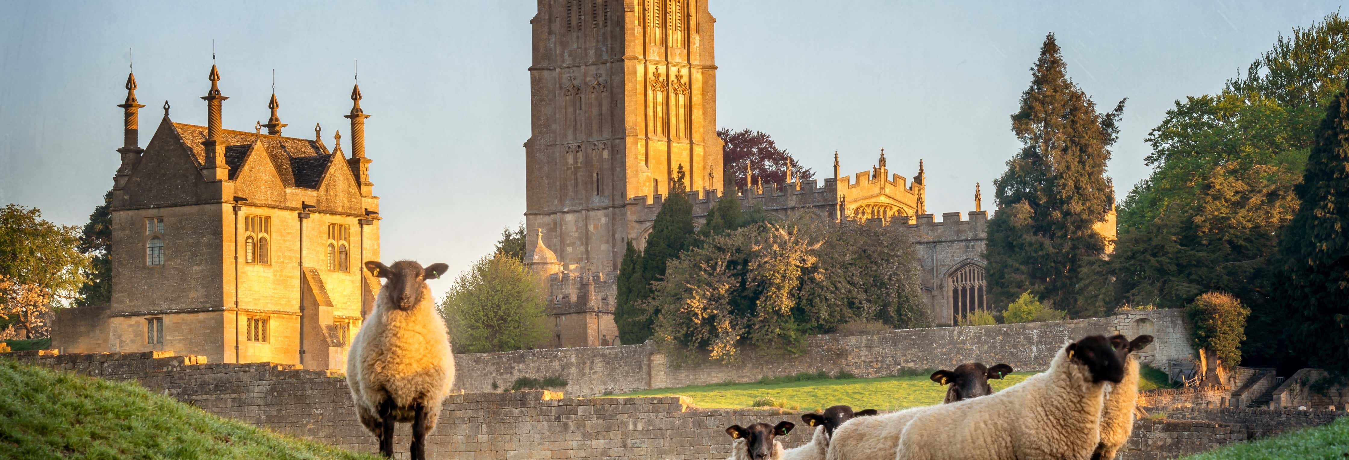 Escursione alle Cotswolds