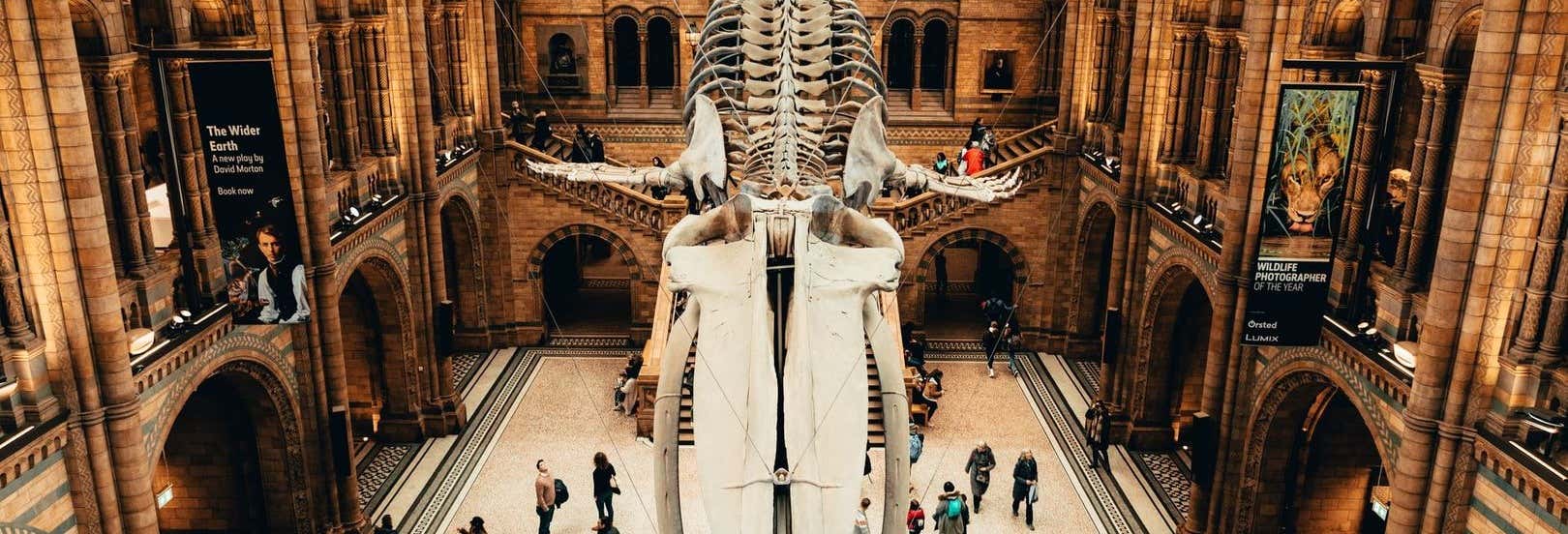 Biglietti per il Museo di Storia Naturale di Londra con audioguida