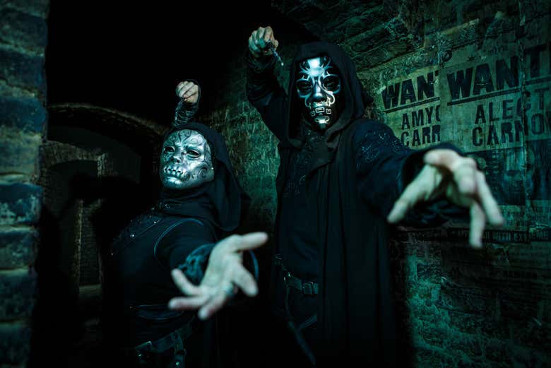 Imagen 10