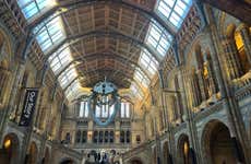 Visita guiada por el Museo de Historia Natural