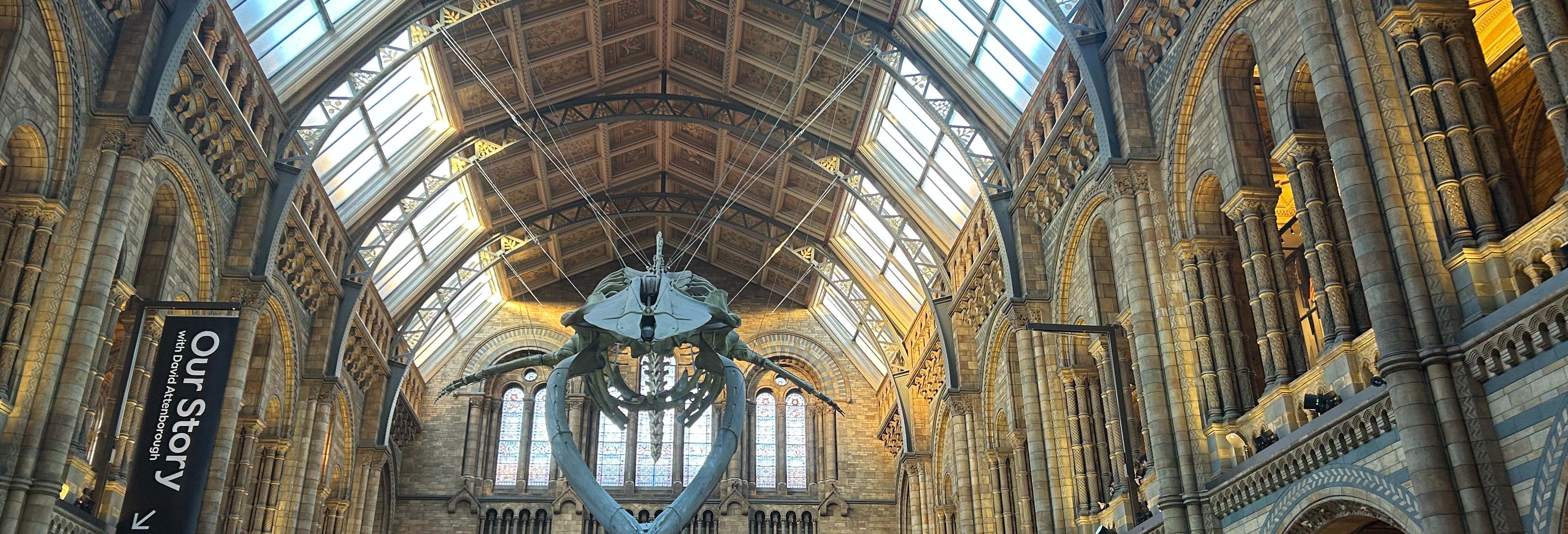 Visita guiada por el Museo de Historia Natural