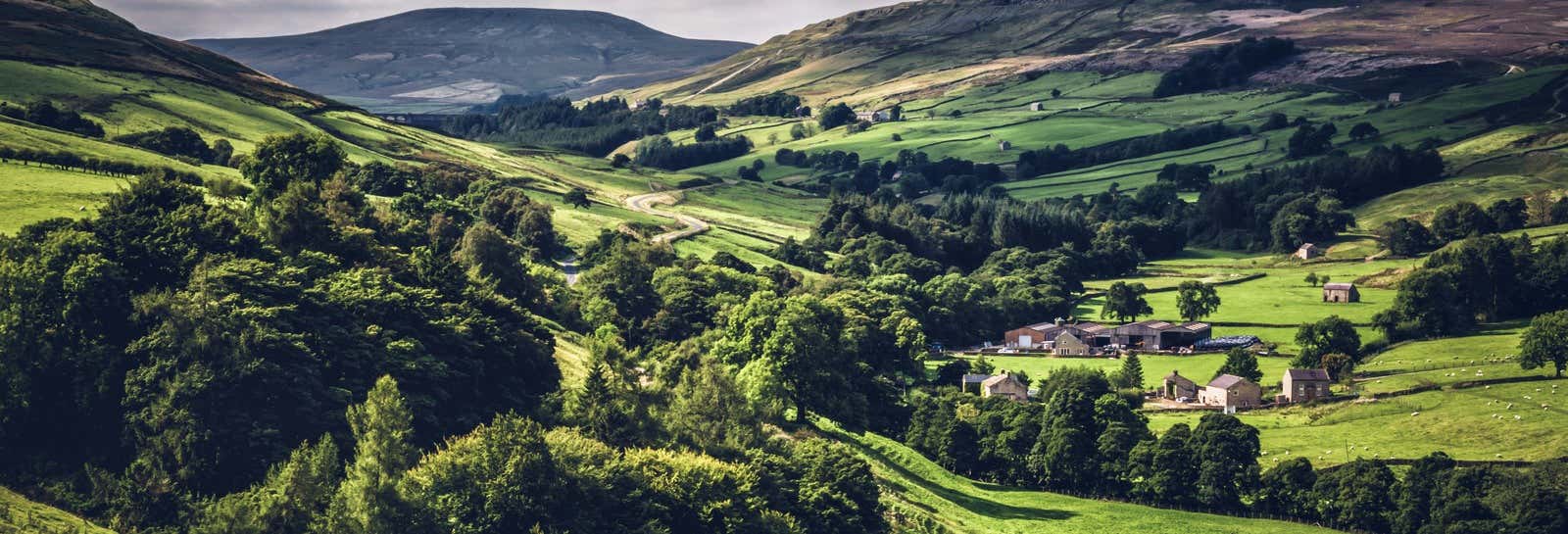 Yorkshire Dales National Park Day Trip