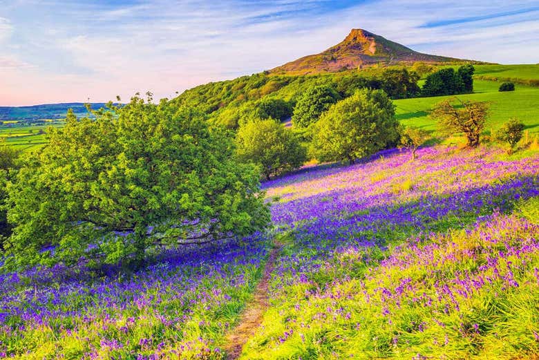 Excursi n Al Parque Nacional North York Moors Y Whitby Desde York excursi-n-al-parque-nacional-north-york-moors-y-whitby-desde-york