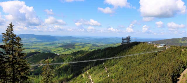 Escursione allo Sky Bridge e Sky Walk