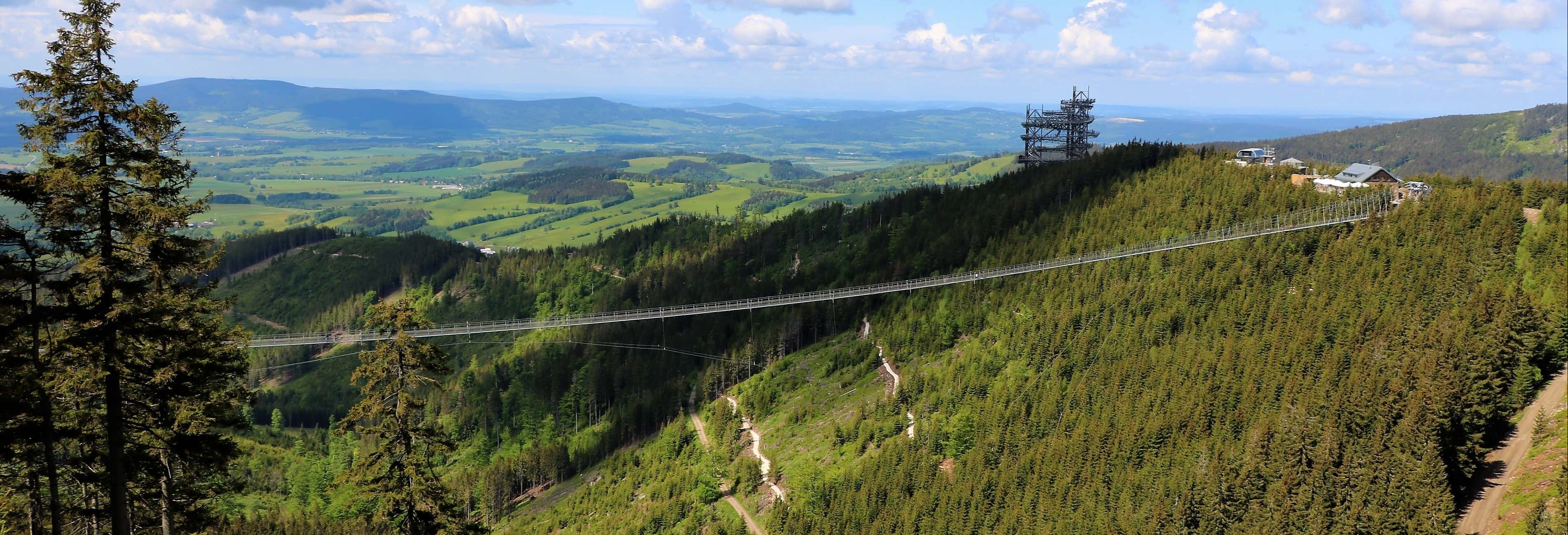 Escursione allo Sky Bridge e Sky Walk