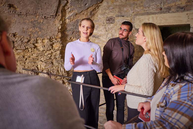 Imagen 6