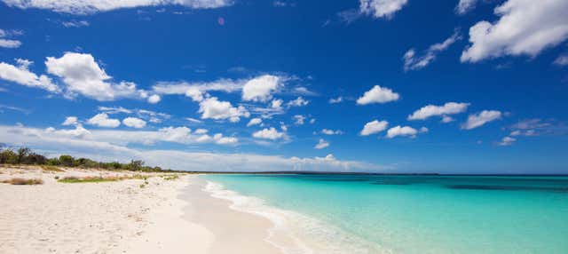 Escursione a Bahía de las Águilas