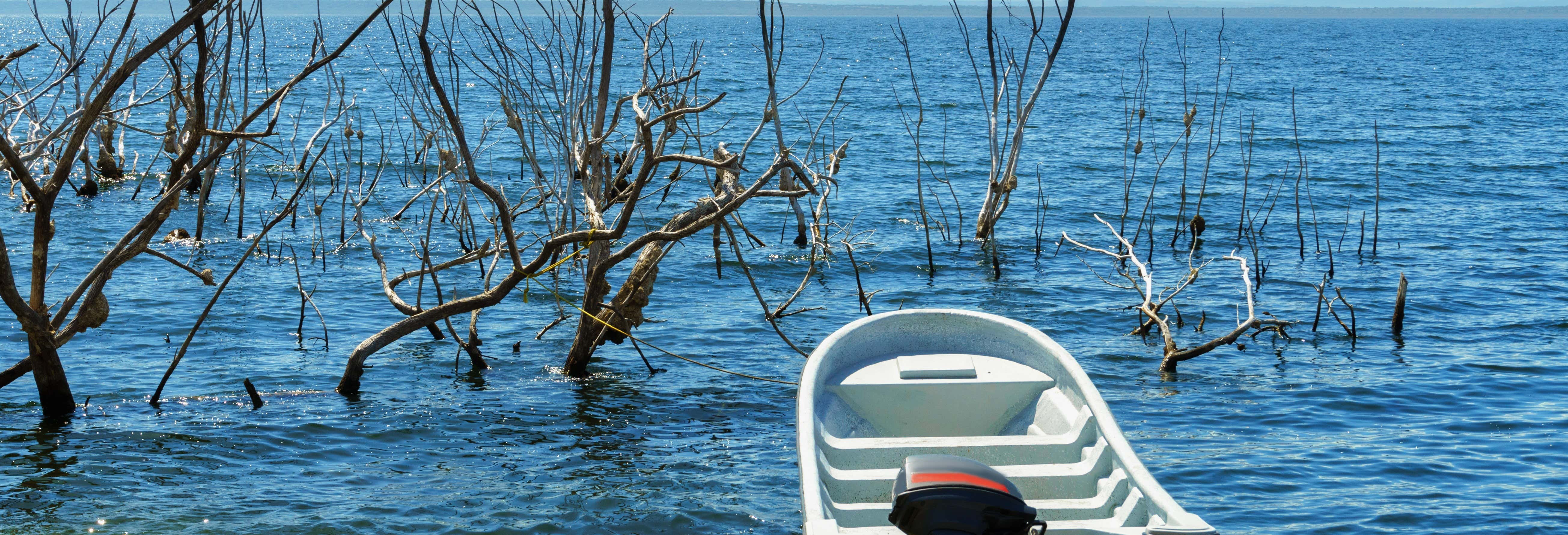 Escursione al lago Enriquillo con avvistamiento di coccodrilli