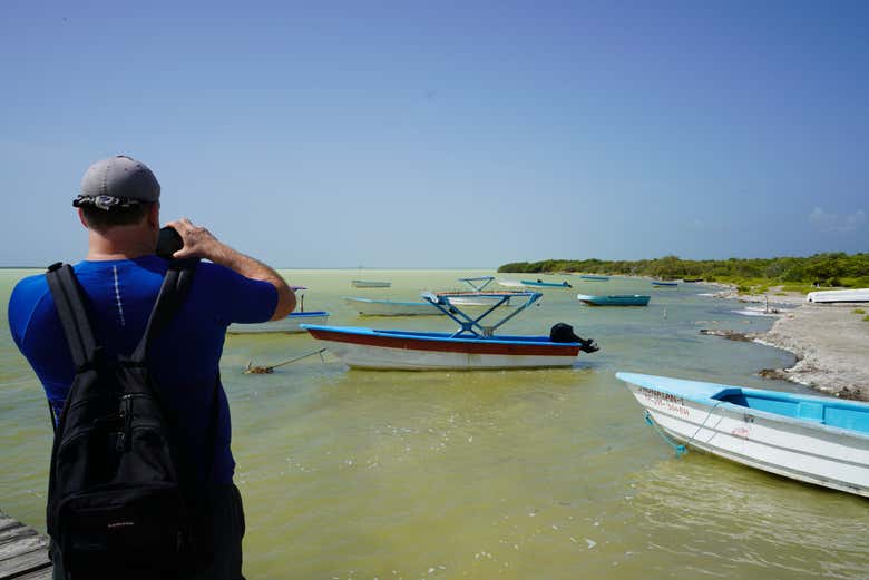 Imagen 4