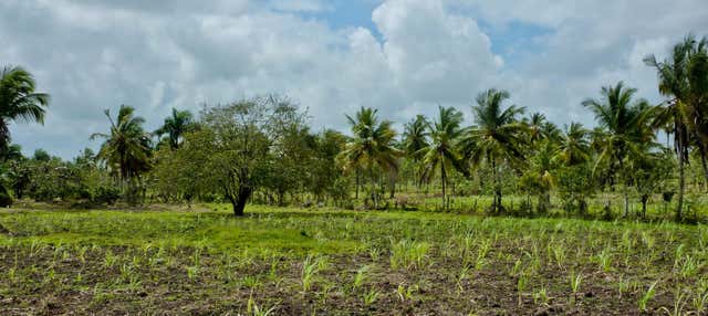 Escursione a Bayahibe e Higüey