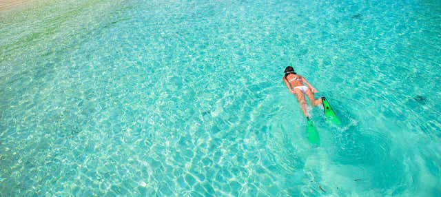 Snorkeling a Bayahibe