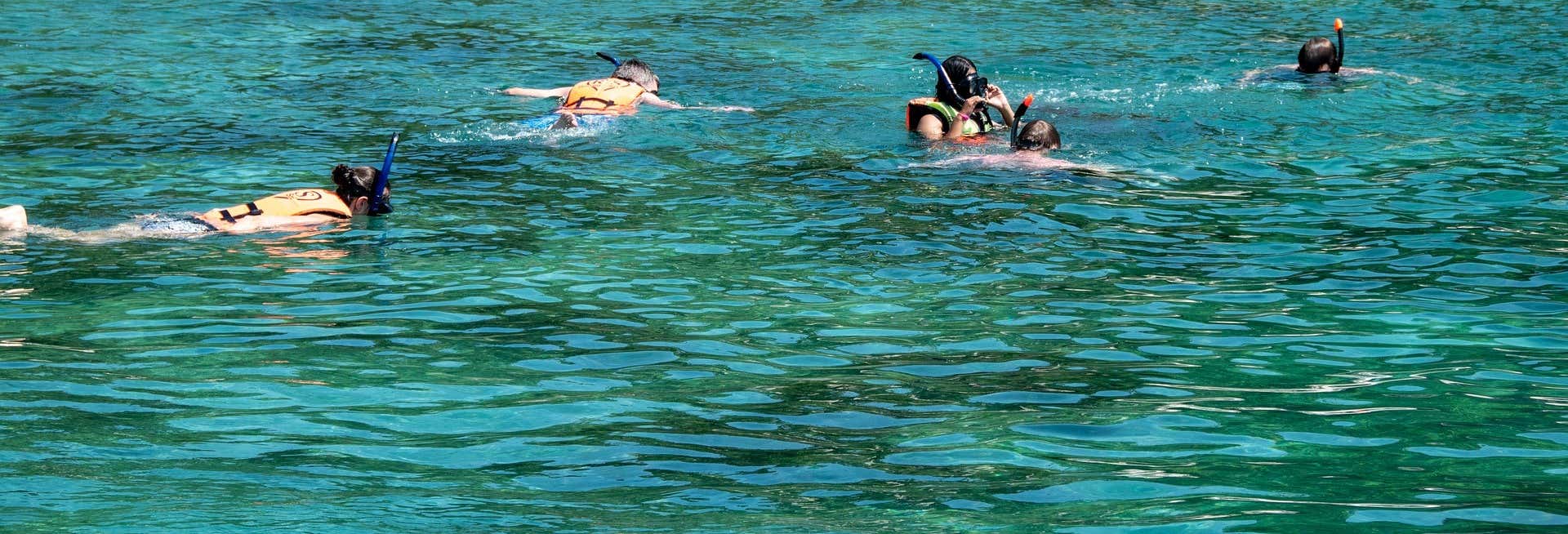 Catalina Island Tour + Snorkelling