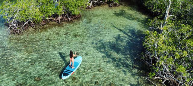 Paddle surf a Boca Chica