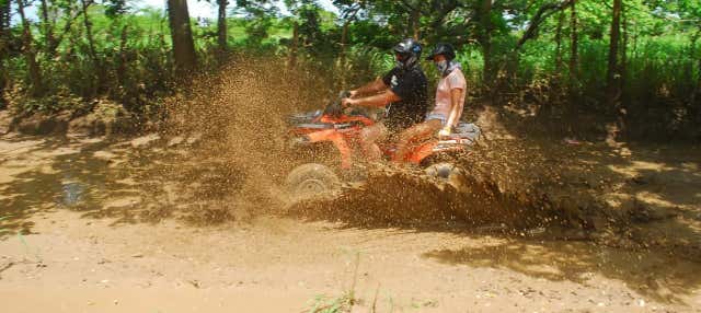 Tour in quad tra le piantagioni di canna da zucchero