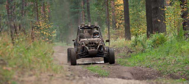 Tour dei Charcos di Damajagua in buggy