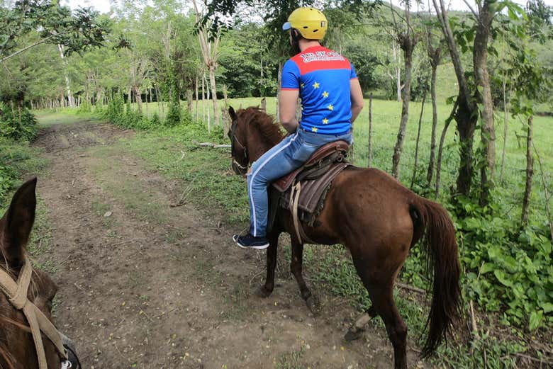 Imagen 3