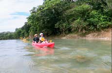 Yasica River Kayak Tour