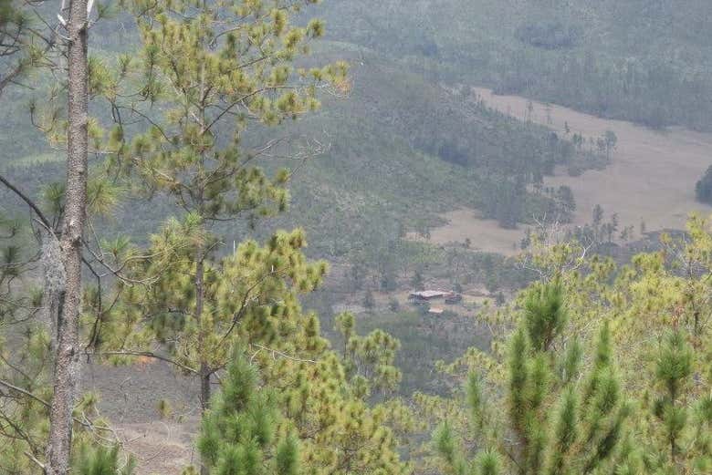 Imagen 7