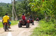 Sugar Cane Plantation Buggy or Quad Bike Tour