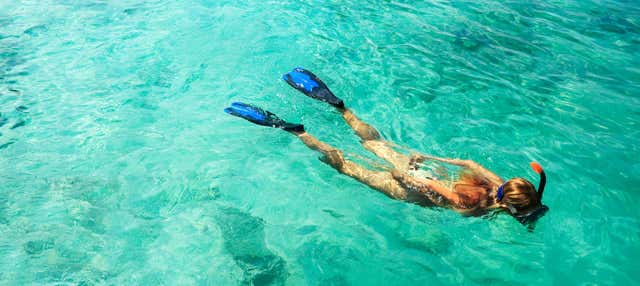 Escursione a Isla Catalina con snorkeling