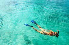 Isla Catalina Day Trip & Snorkelling