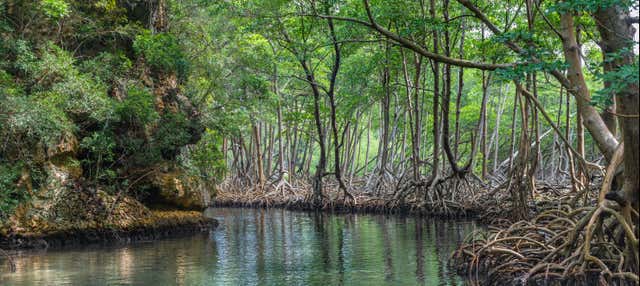 Escursione al Parco Nazionale di Los Haitises
