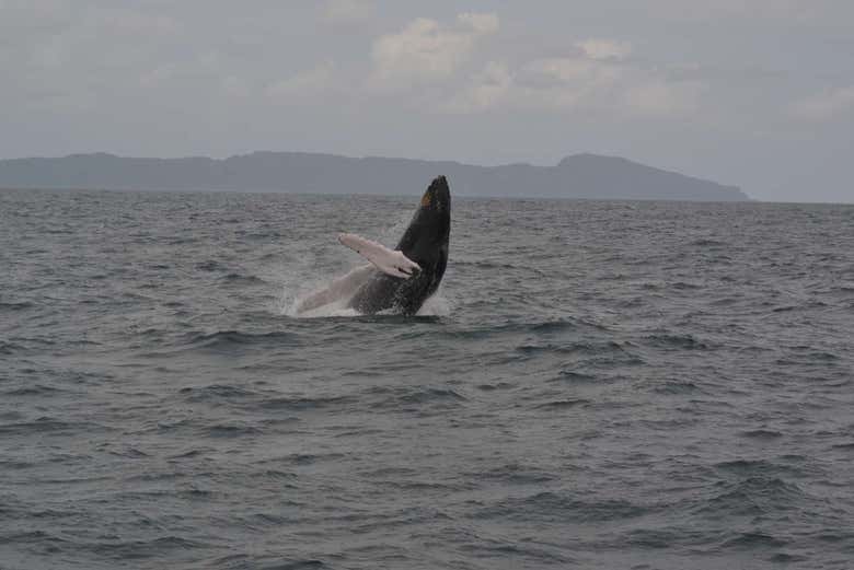 Imagen 3