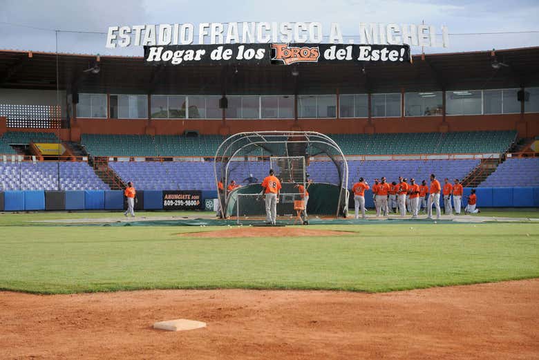 Imagen 6