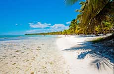 Saona Island Beach Tour