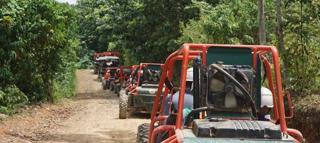 Tour dei campi di canne da zucchero in buggy o quad