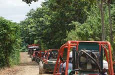 Sugar Field Buggy or Quad Bike Tour