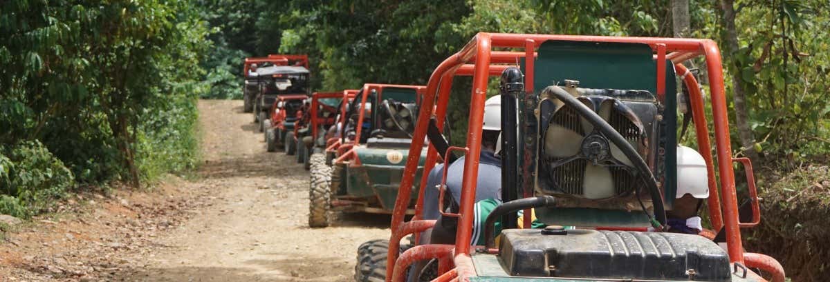 Sugar Field Buggy or Quad Bike Tour