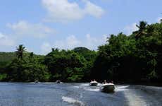 Chavón River Speedboat Rental