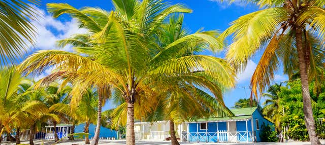 Escursione a Saona in catamarano