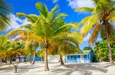 Saona Island Cruise