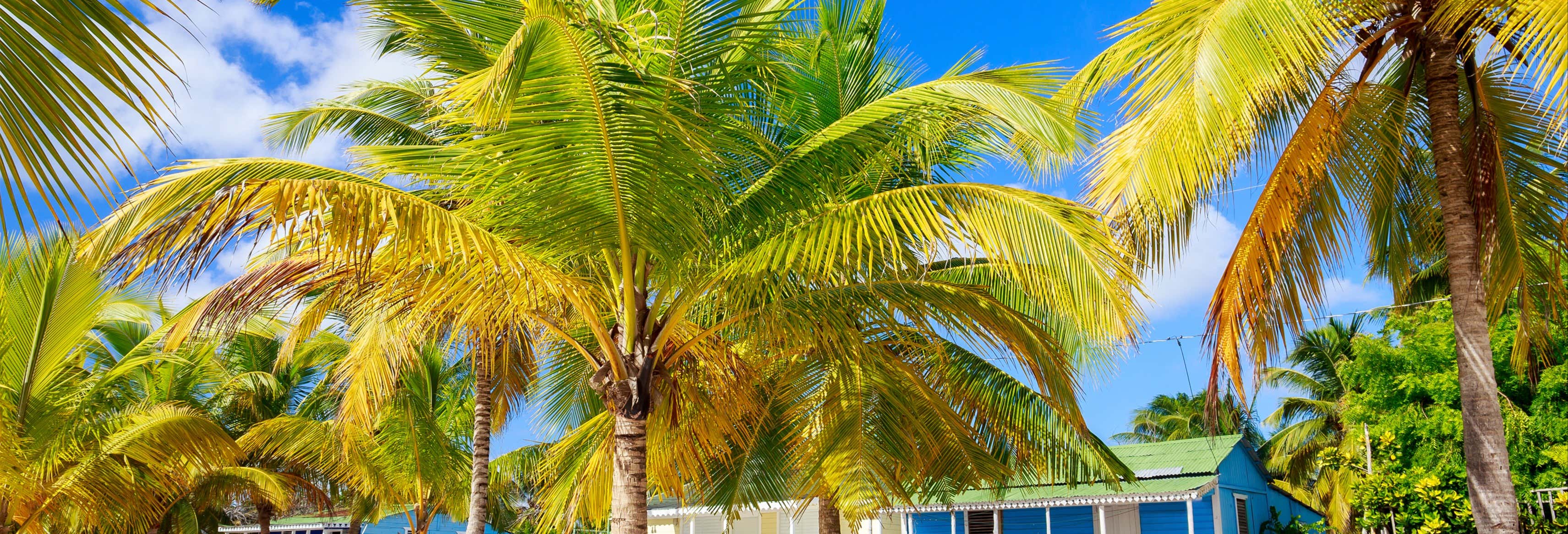 Saona Island Cruise