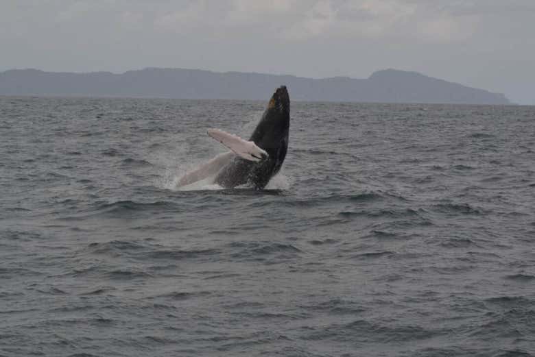 Imagen 6