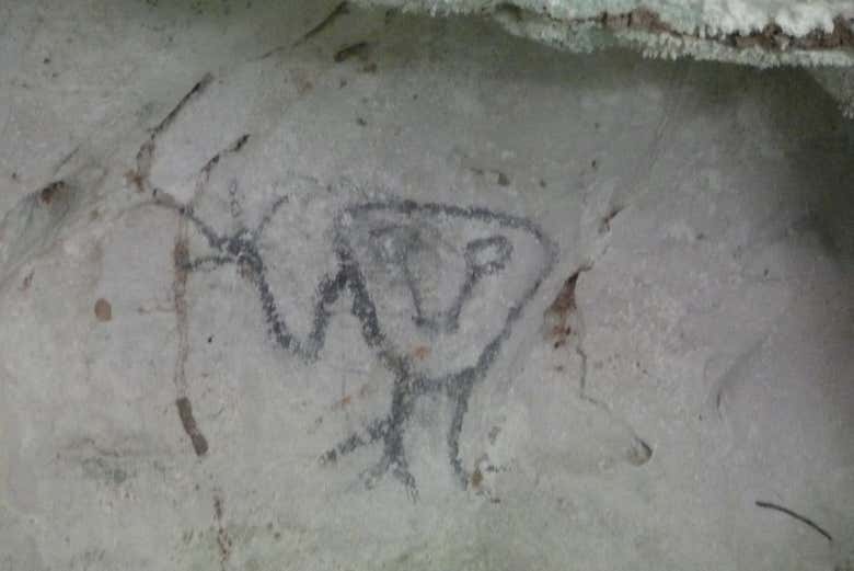 Imagen 7